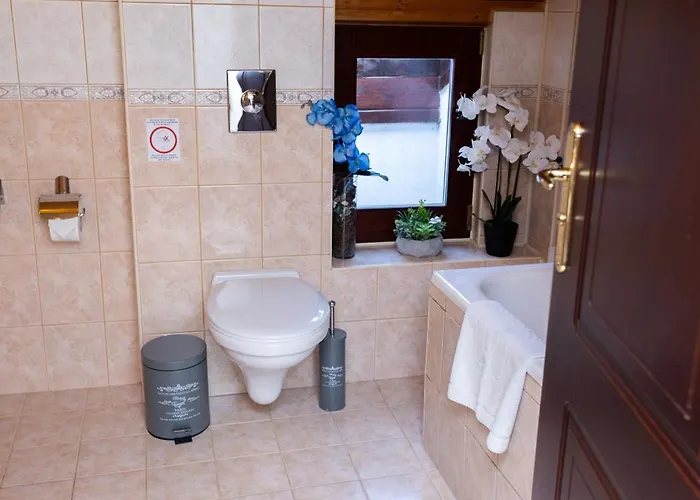 Boutique St. Stefan 3* 内塞伯尔