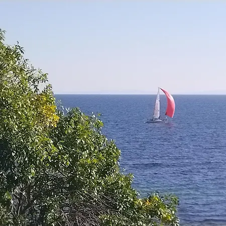 Ξενοδοχείο Boutique St. Stefan 3*