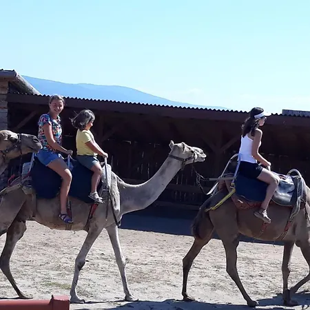 Family St Stefan 3* Νεσέμπαρ